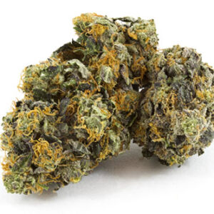 Buy Black Domina strain online