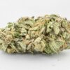 Buy Comatose strain online