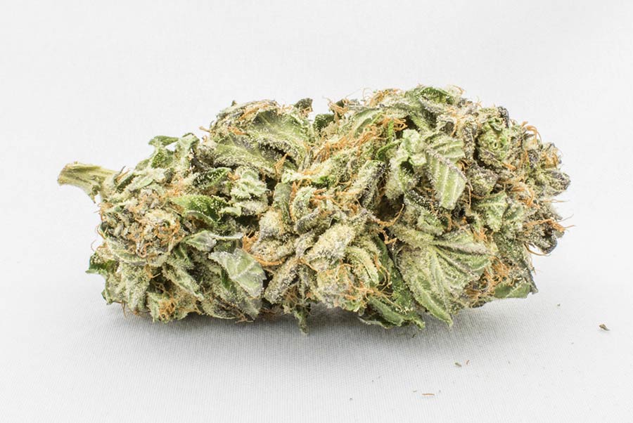Buy Comatose strain online Buy Comatose strain online