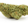 Buy critical mass strain online