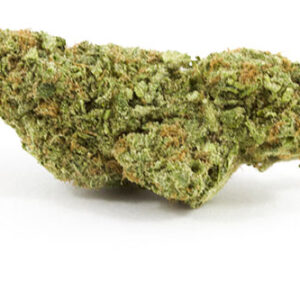 Buy critical mass strain online