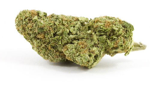 Buy critical mass strain online Buy critical mass strain online
