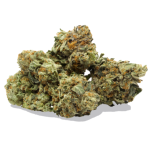 Buy Master Kush online