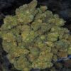 Buy Mr. Nice strain online