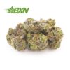 Buy Blackberry haze online
