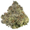 Buy Blueberry strain online