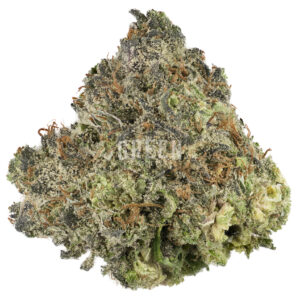 Buy Blueberry strain online