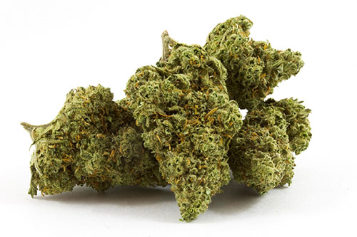 Buy Citrique strain online Buy Citrique strain online