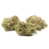 Buy Girl Scout Cookies strain online