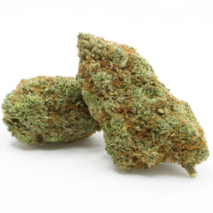 Buy Gorilla Glue #4 online
