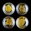 Buy Blue Dream–Shatter online
