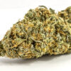 Buy Scout master strain online