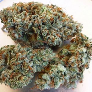Buy super silver haze online