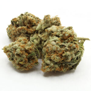 Buy slurricane strain online