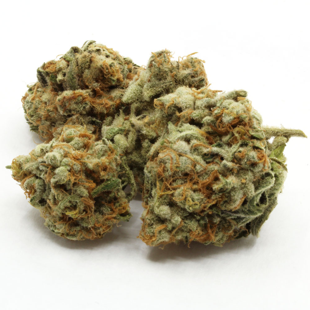 Buy slurricane strain online Buy slurricane strain online