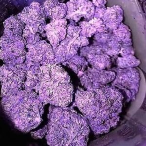 Buy Granddaddy purple online