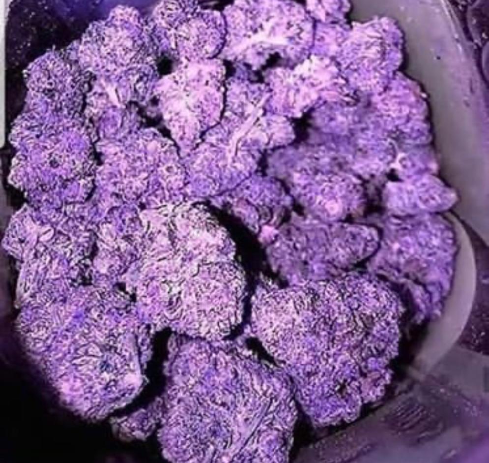 Buy Granddaddy purple online Buy Granddaddy purple online