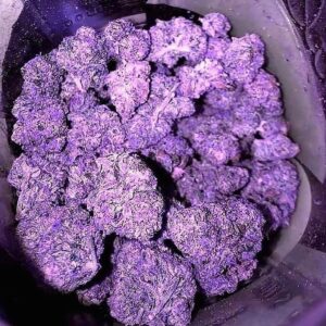 Purple Haze