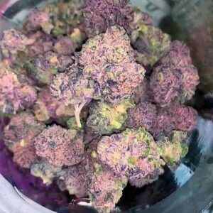 Buy Dream kush strain Online