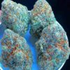 Buy Blue Dream strain online