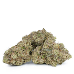 Buy White Runtz online