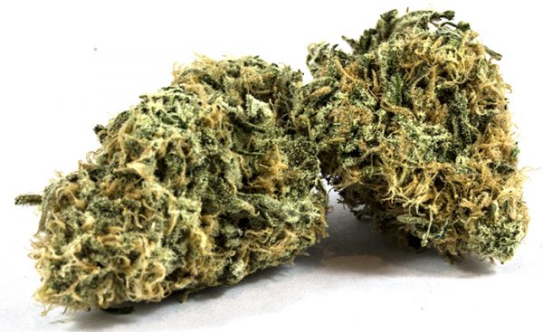 Buy Zombie kush online Buy Zombie kush online