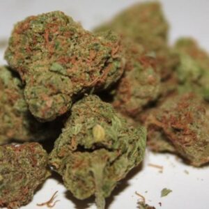 Buy cat piss strain online