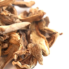BUY PORCINI MUSHROOMS ONLINE