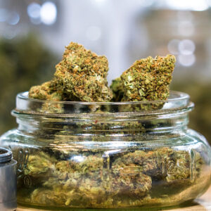 Marijuana strains