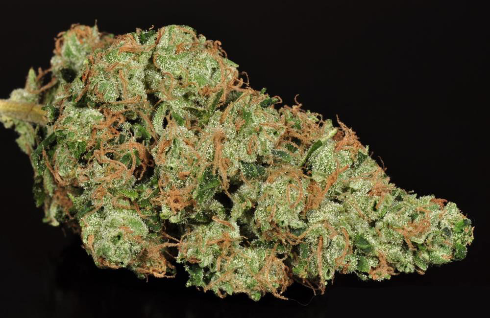 Buy sour diesel online Buy sour diesel online