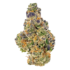 Buy Gelato 47 online