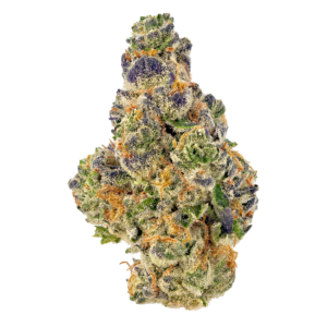 Buy Gelato 47 online