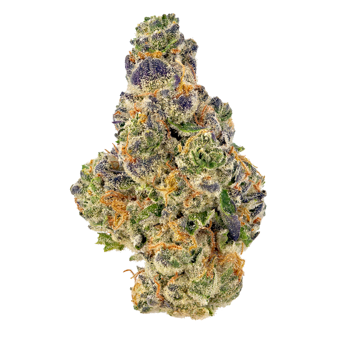 Buy Gelato 47 online Buy Gelato 47 online